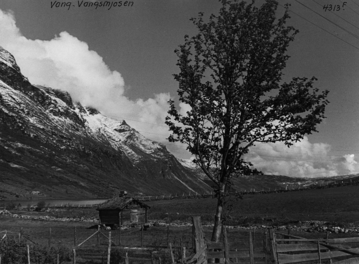 Anders Beer Wilse, Vangsmjosi Landskap Valdres