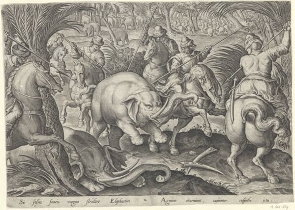 Galle, Philippe, (1537-1612), (printmaker), The hunting parties: Elephant hunt