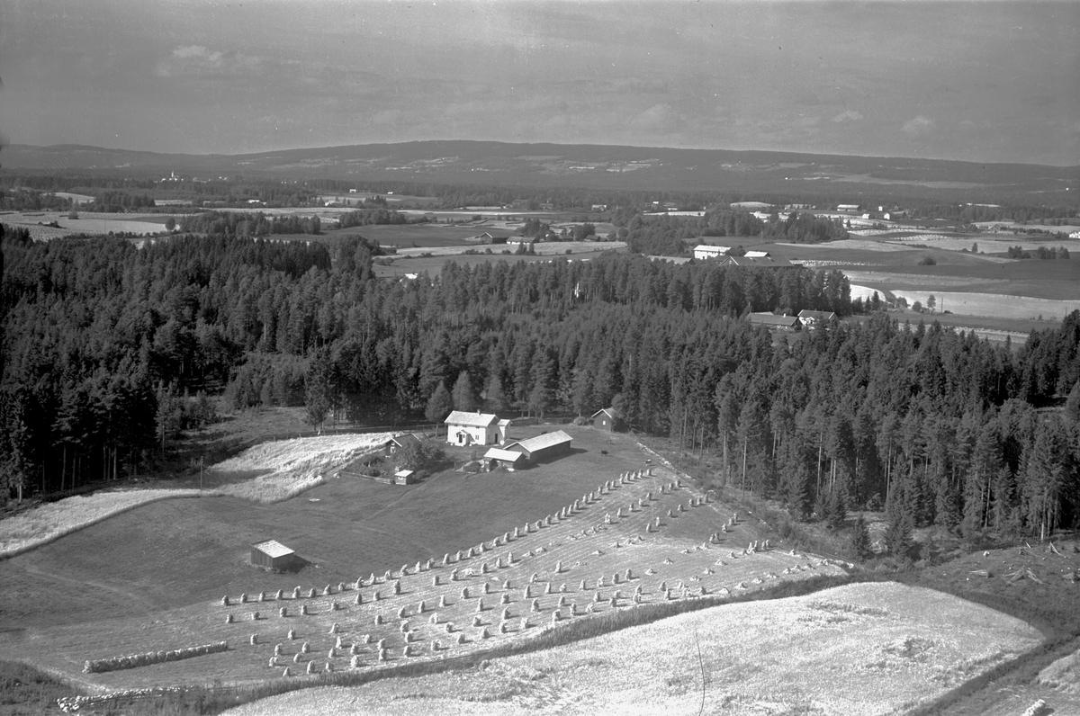 Widerøes Flyveselskap A/S, FLYFOTO SØRLI