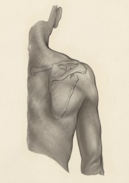J Tinkelenberg, Shoulder joint
