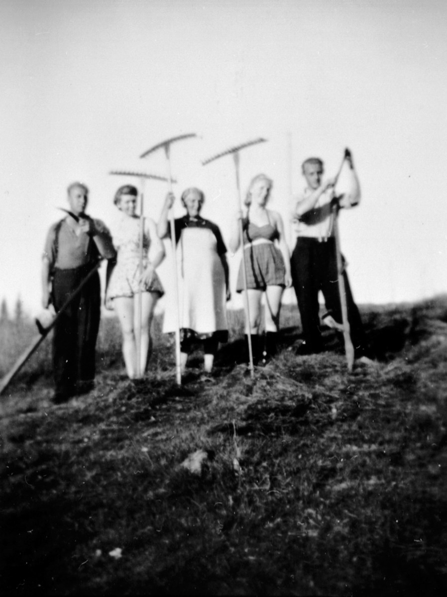 Anno Domkirkeodden, Slåttonn på Tomsæter, Veldre, Ringsaker. Gudbrand Pedersens løkke. Gruppe med ljå og river. Fra venstre er Gudbrand Pedersen, Anna Jensen, Berteh Pedersen, Helga Syversen, Sverre Syversen.