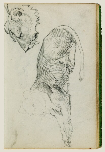 Théodore Géricault, Seated lion, head of lioness