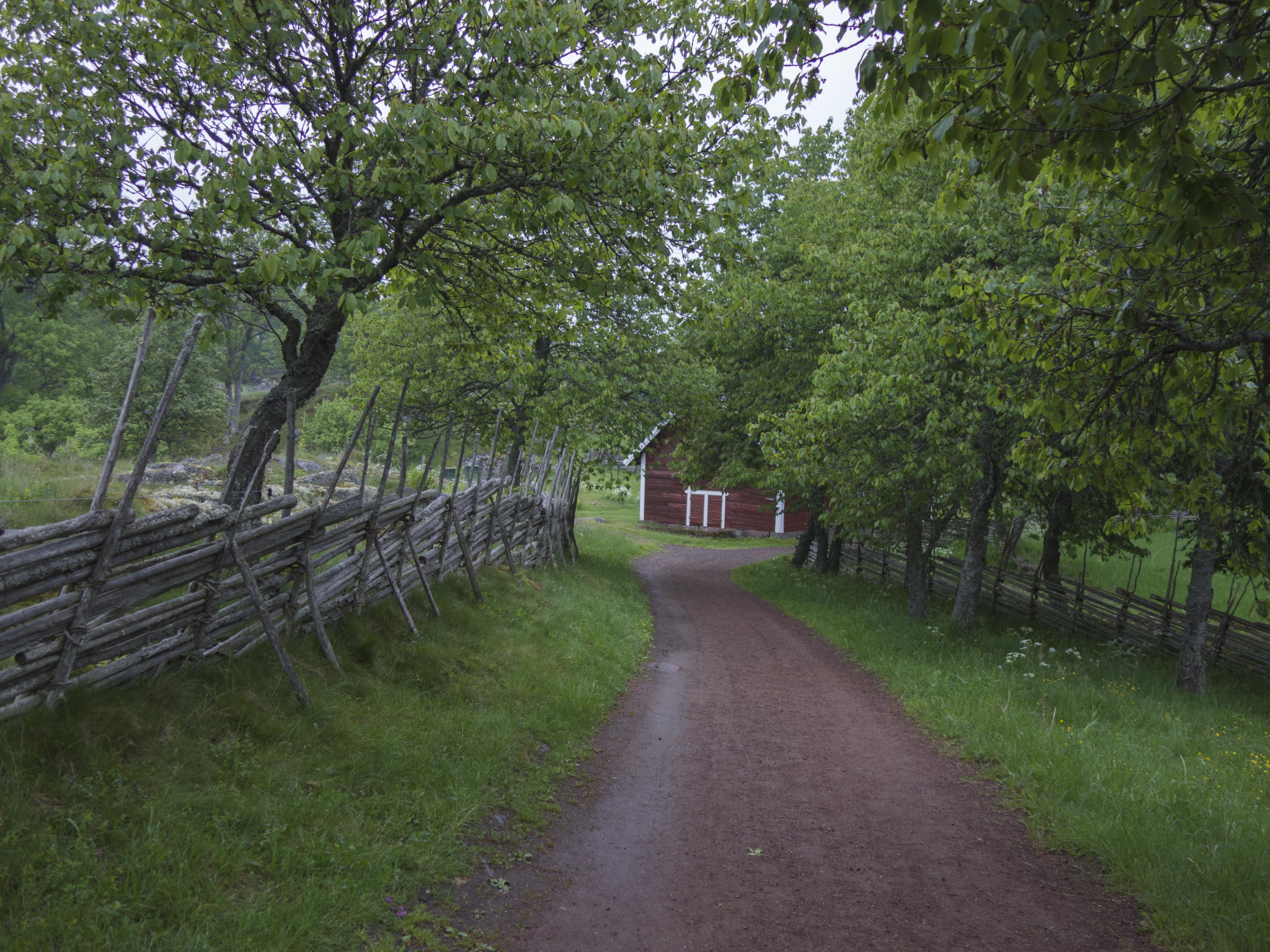 Leif Gren, Åsens by