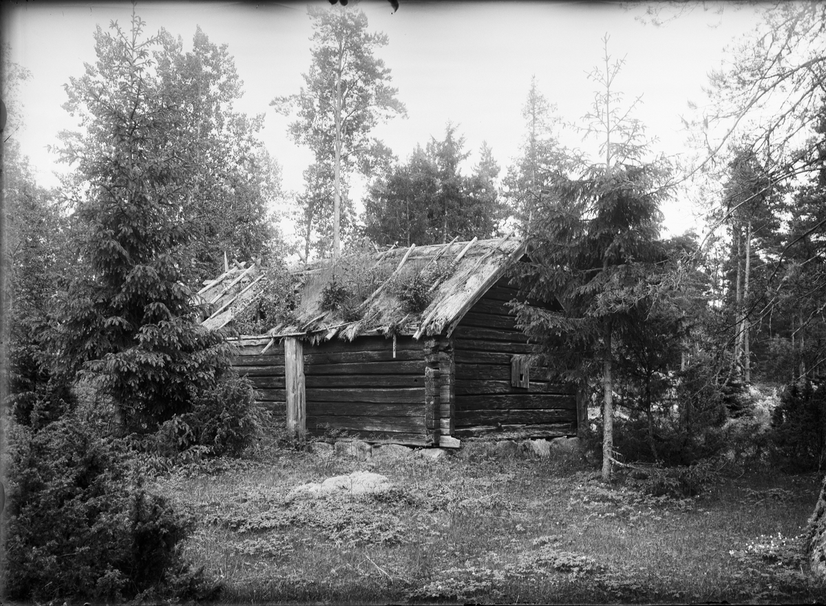 Paul Sandberg, Bastu, E Johansson, Nybergen, Nyvla, Bälinge socken, Uppland, sannolikt 1920-tal