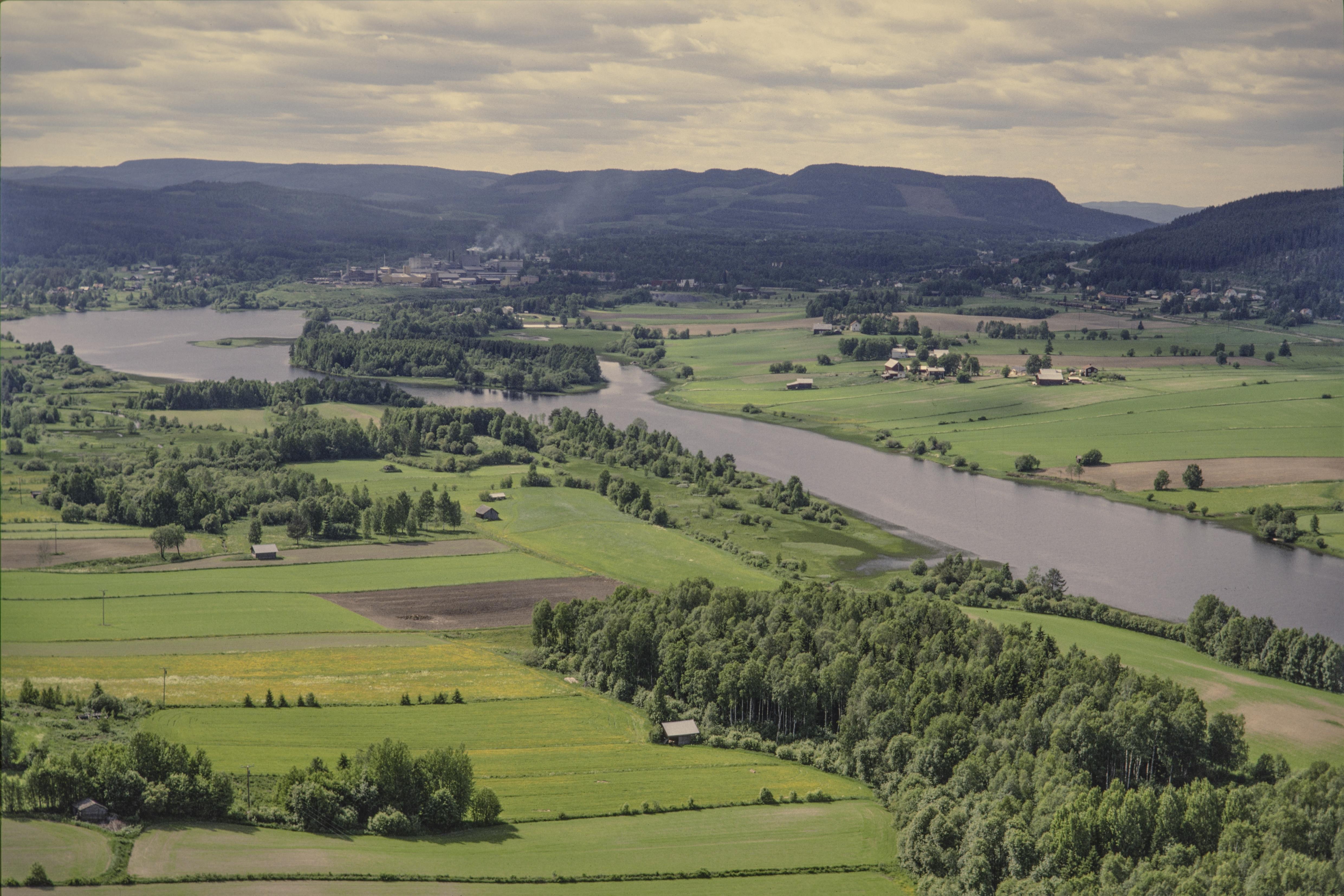 Jan Norrman, Torp 290:1