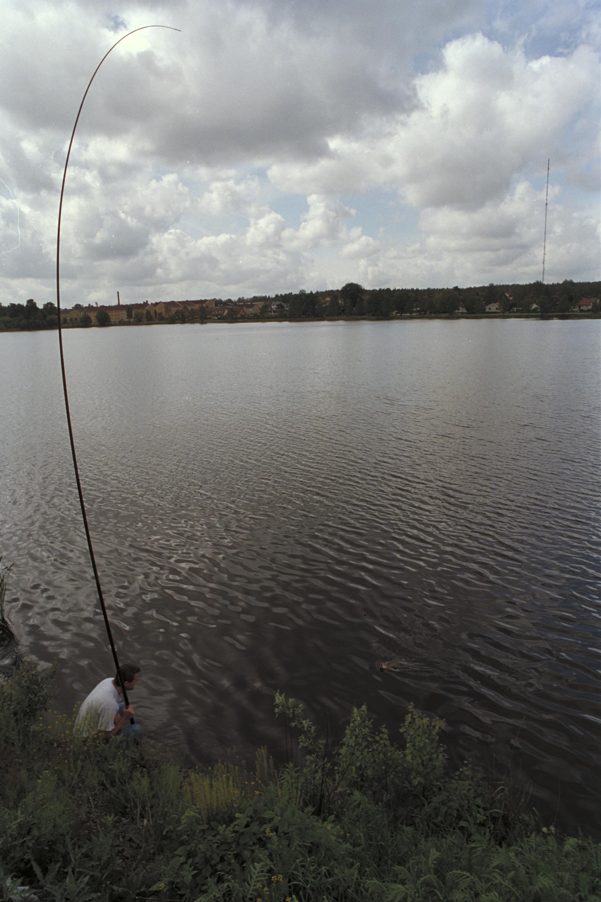 Gabriel Hildebrand, Runnerydsjön