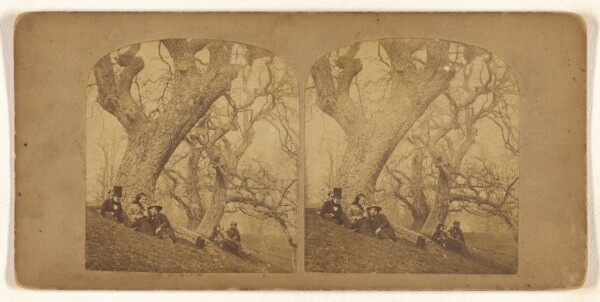 Unknown, [Two groups of three under two separate trees]