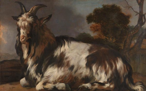 Jan Baptist Weenix, Goat Lying Down
