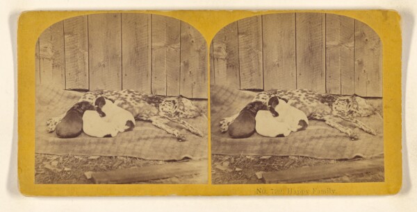 Benjamin West Kilburn, Happy Family.