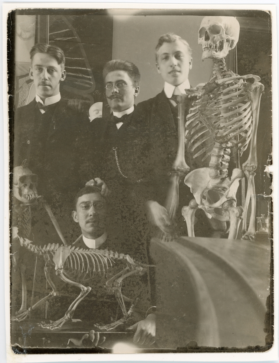 Bengt Mannerfeldt, Doctor students at skeleton, Uppsala