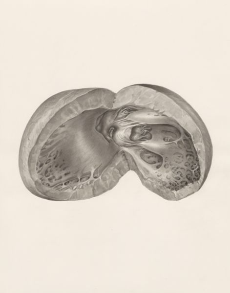 H.G Wetselaar, Heart
