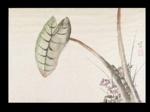 Katsushika Hokusai, Taro Potato Leaf and Bellflowers