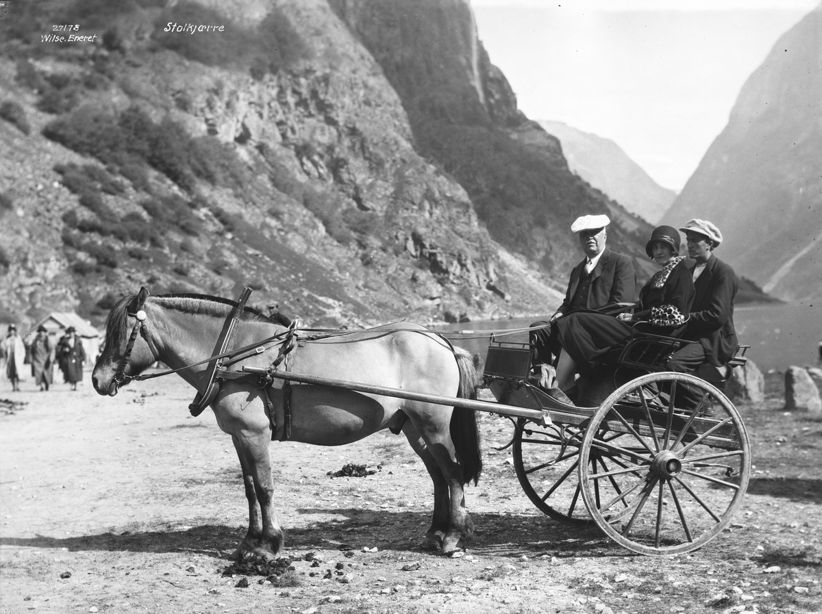 Anders Beer Wilse, Prot: Stavangerfjords Nordkaptur - Stolkjærre i Gudvangen