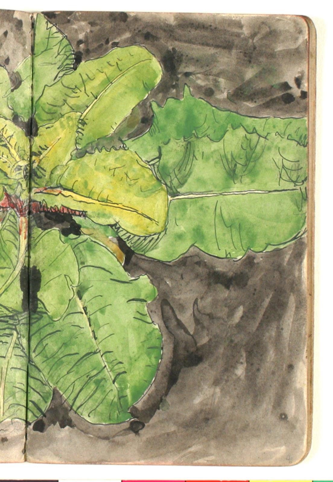 Niels Larsen Stevns, Plantestudie