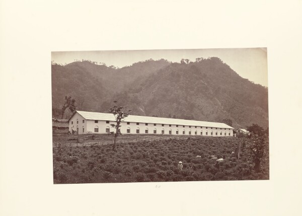 Samuel Bourne, Darjeeling; View of the Selim Tea Estate, Showing the New Factory, Lower Division