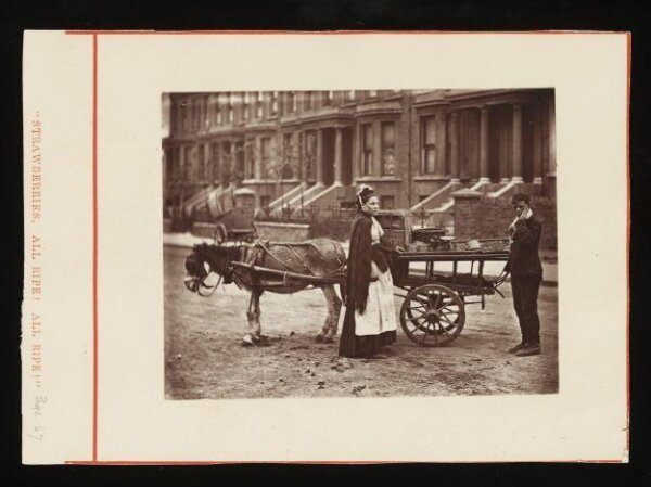 John Thomson, "Strawberries. All Ripe. All Ripe."