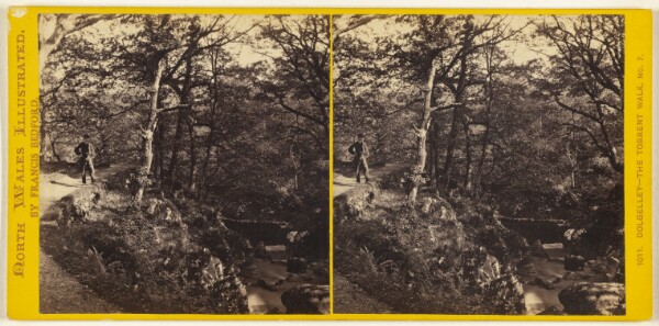 Francis Bedford, Dolgelley - The Torrent Walk, No. 7.