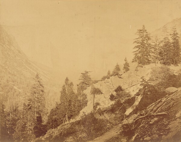 Eadweard J. Muybridge, Valley of the Yosemite, from Moonlight Rock.