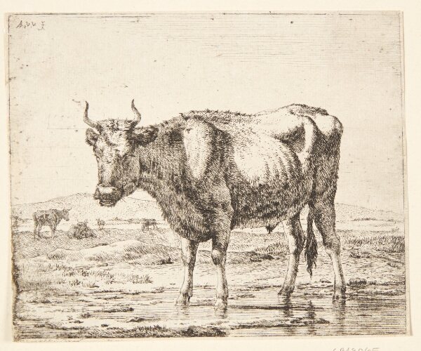 Adriaen van de Velde, Tyr stående i vand