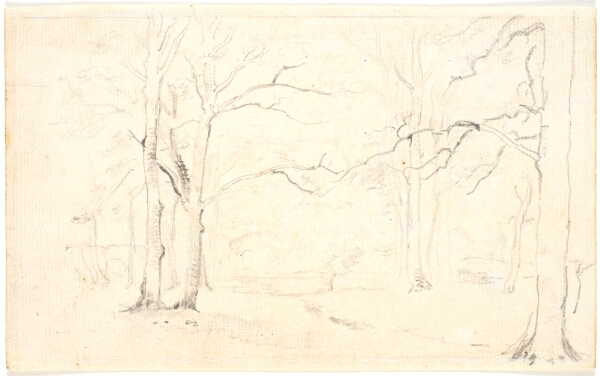 Dankvart Dreyer, Skovinteriør
