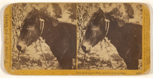 Carleton Watkins, View of Bumper's Hell, and what took us there.