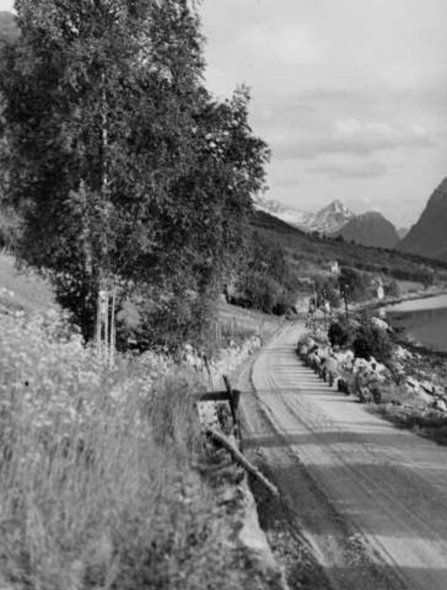 Anders Beer Wilse, -6770
