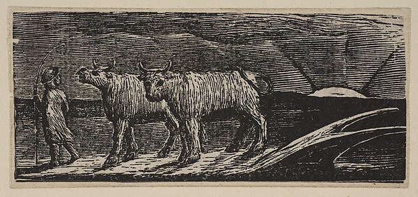 William Blake, Unyok'd Heifers, Loitering Homeward (Return of the Shepherd), from Thornton's "Pastorals of Virgil"