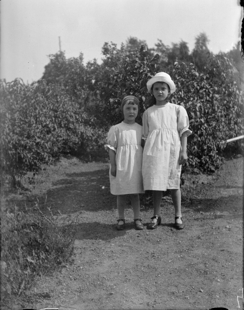 Carl Liljefors, Ingrid och Ulla Liljefors, Årsta, Uppsala 1920
