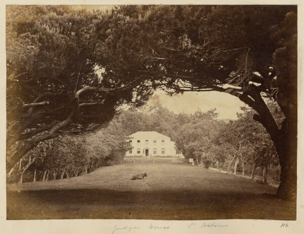 Unknown, Jungle House, Saint Helena