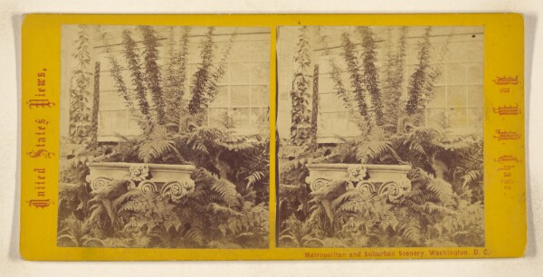 William M. Chase, U.S. Botanical Garden. [Washington, D.C.]