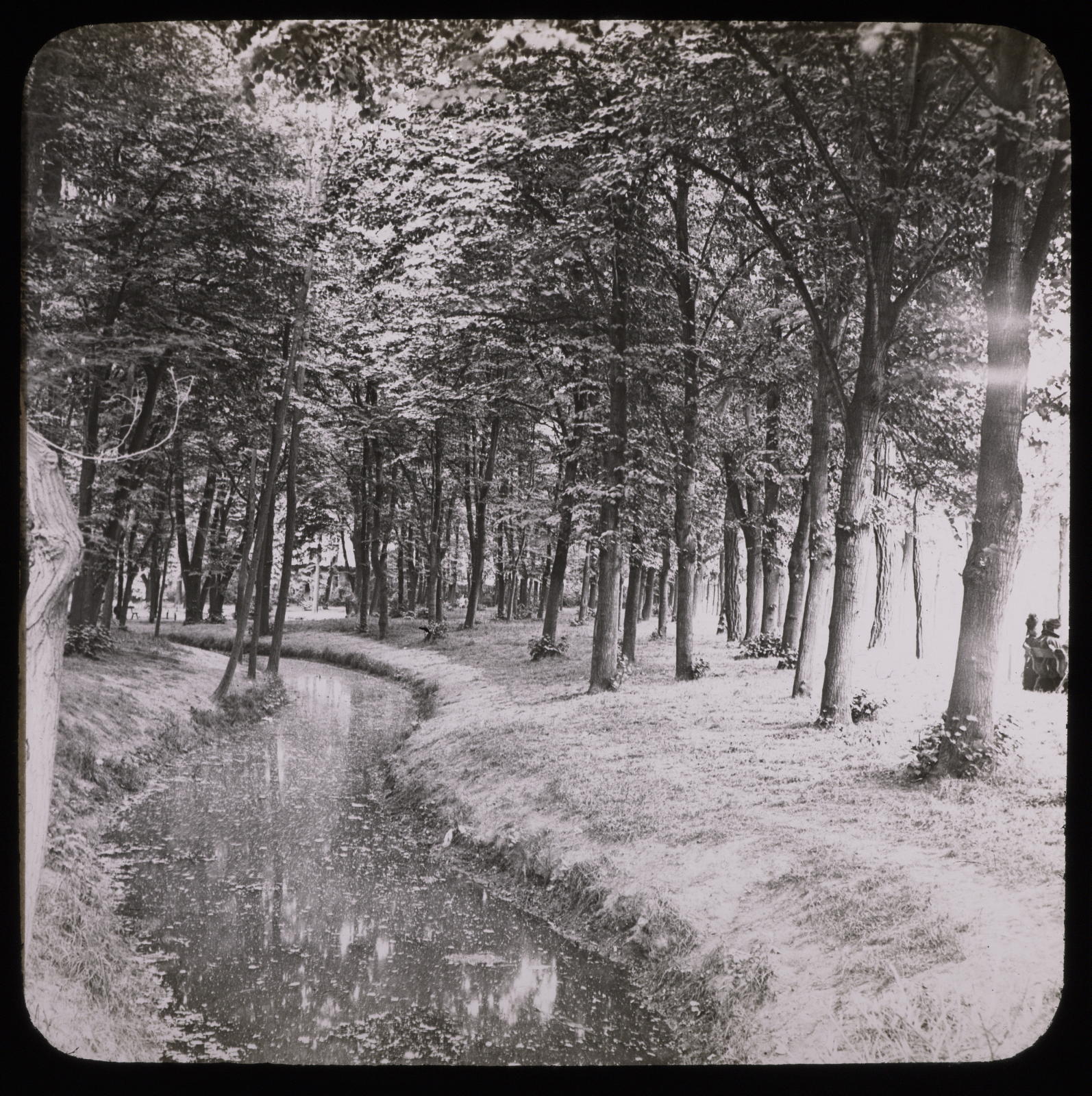 Desconegut, Paris, Bois de Boulogne Mazo, E.