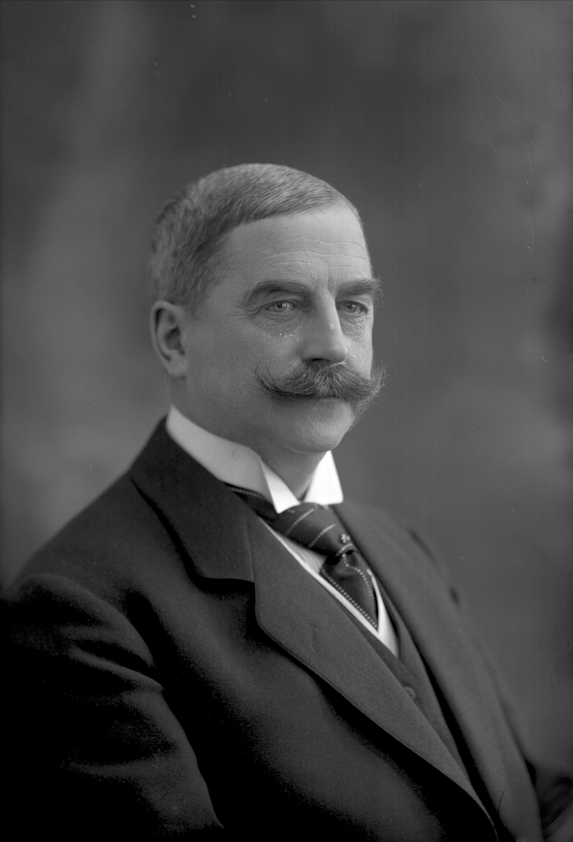 Gustav Borgen, Portrett, Ivar Aavatsmark.
