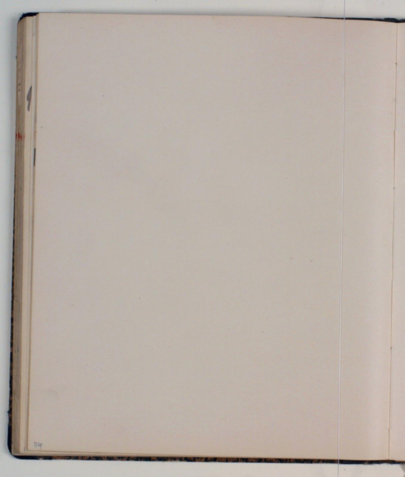 Niels Larsen Stevns, Blank