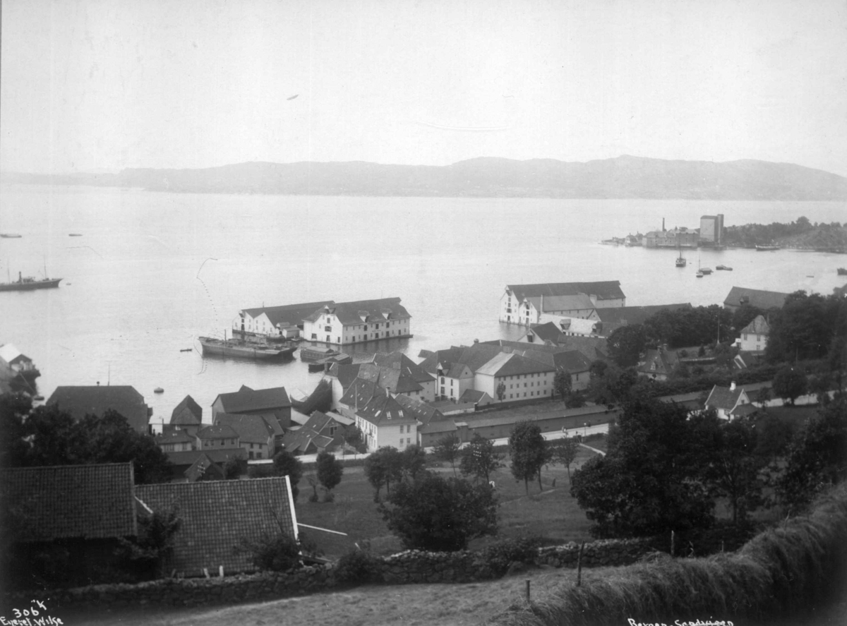 Anders Beer Wilse, Topografi, Sandviken