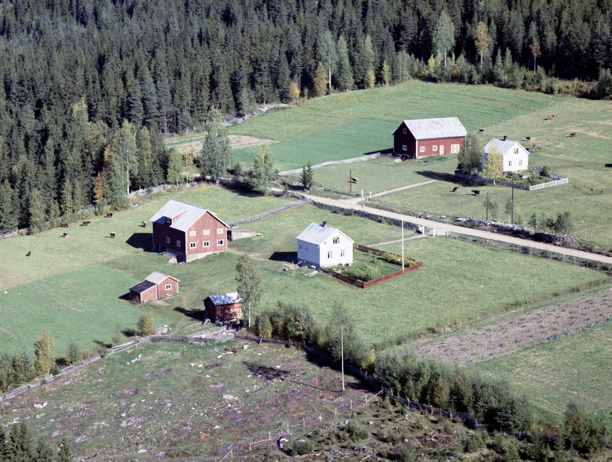 Widerøes Flyveselskap A/S, Gardsbruk