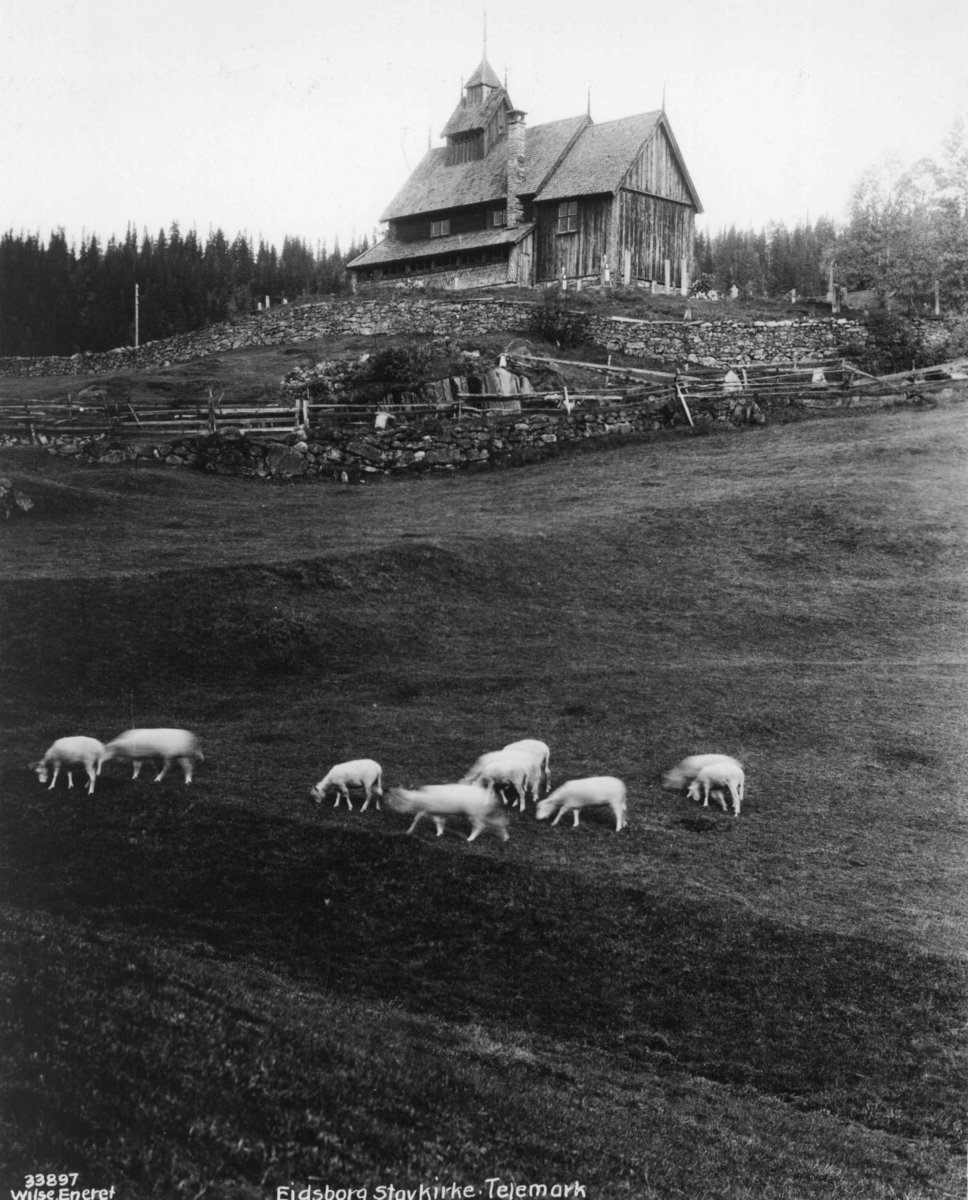 Anders Beer Wilse, Eidsborg stavkirke