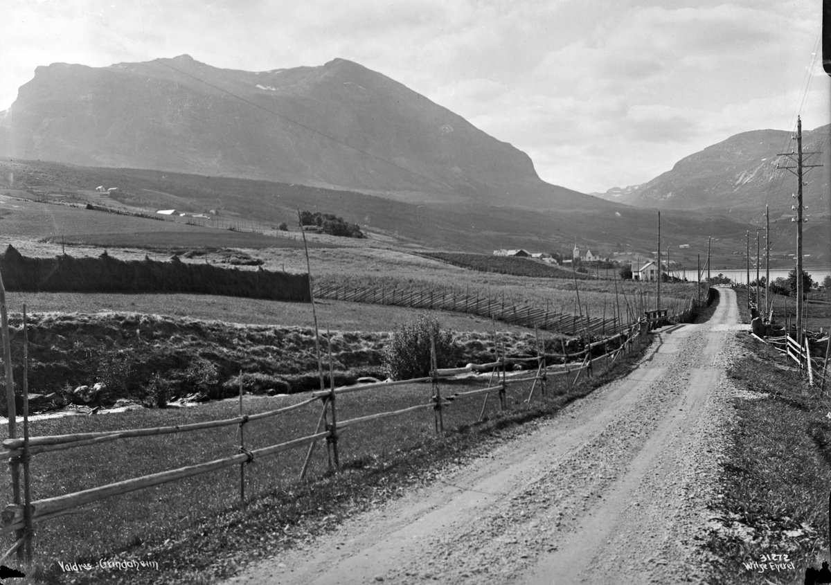 Anders Beer Wilse, Prot: Valdres Grindaheim med Bergsfjeld