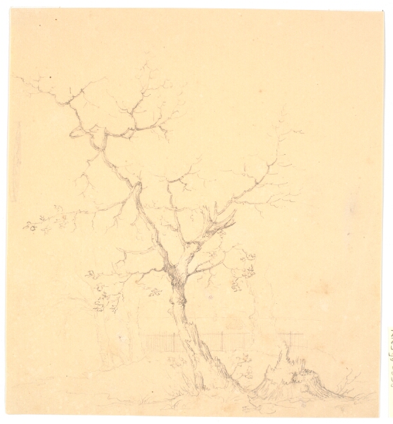 Wilhelm Bendz, Træstudie