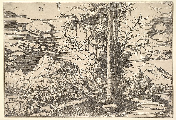 Albrecht Altdorfer, Landscape with a Double Spruce