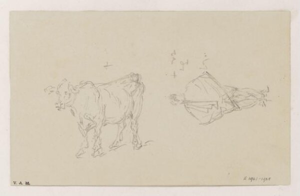 George Chinnery, Drawings of a cow and a standing figure