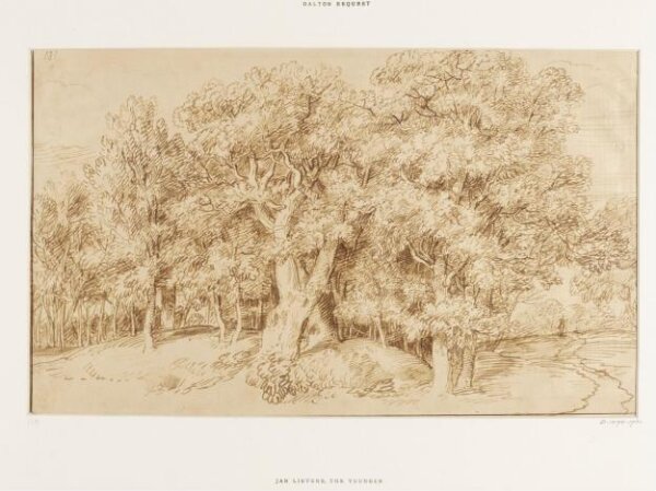 Jan Lievens, Study of a grove of oak trees