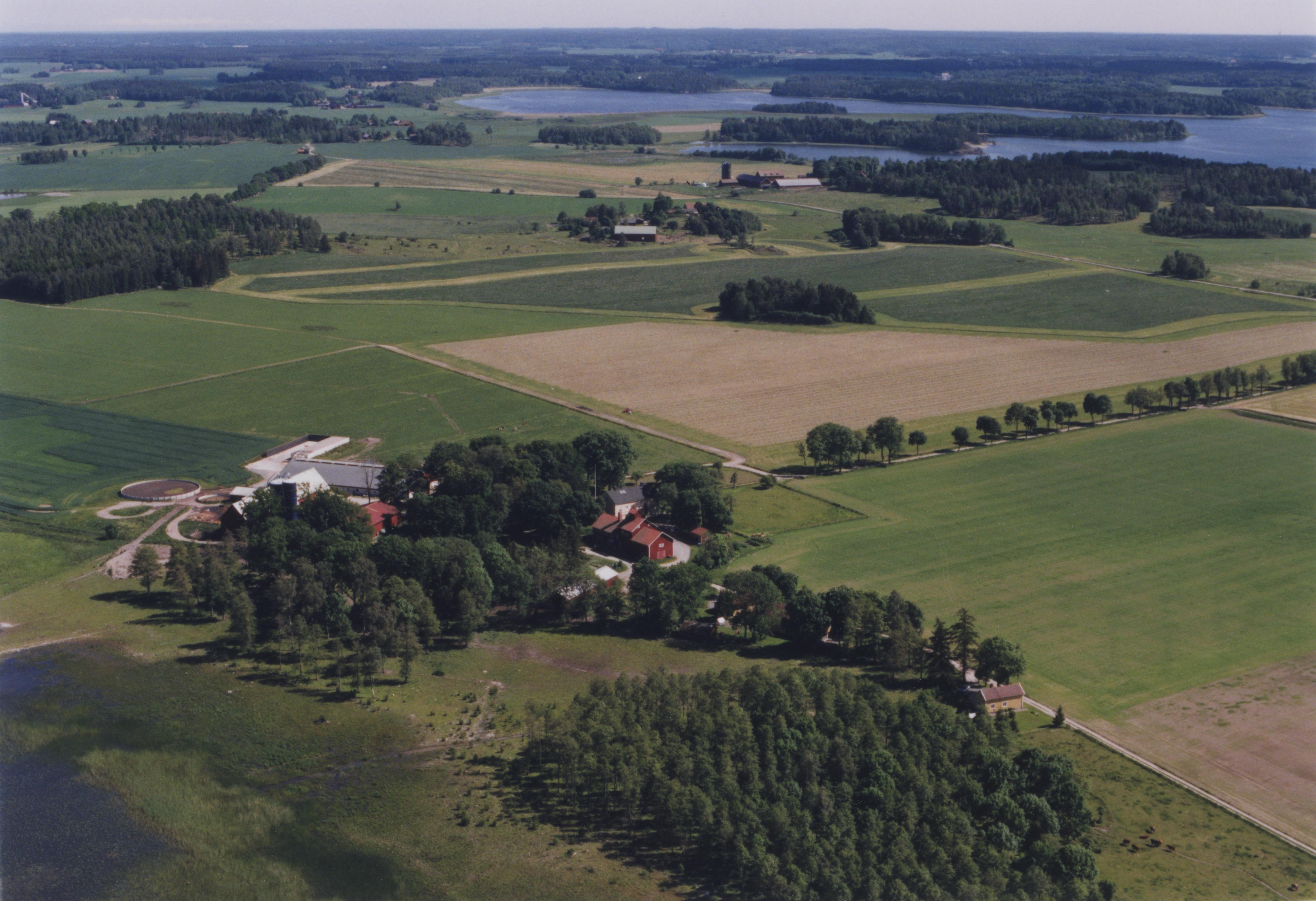 Jan Norrman, Stigtomta 135:1