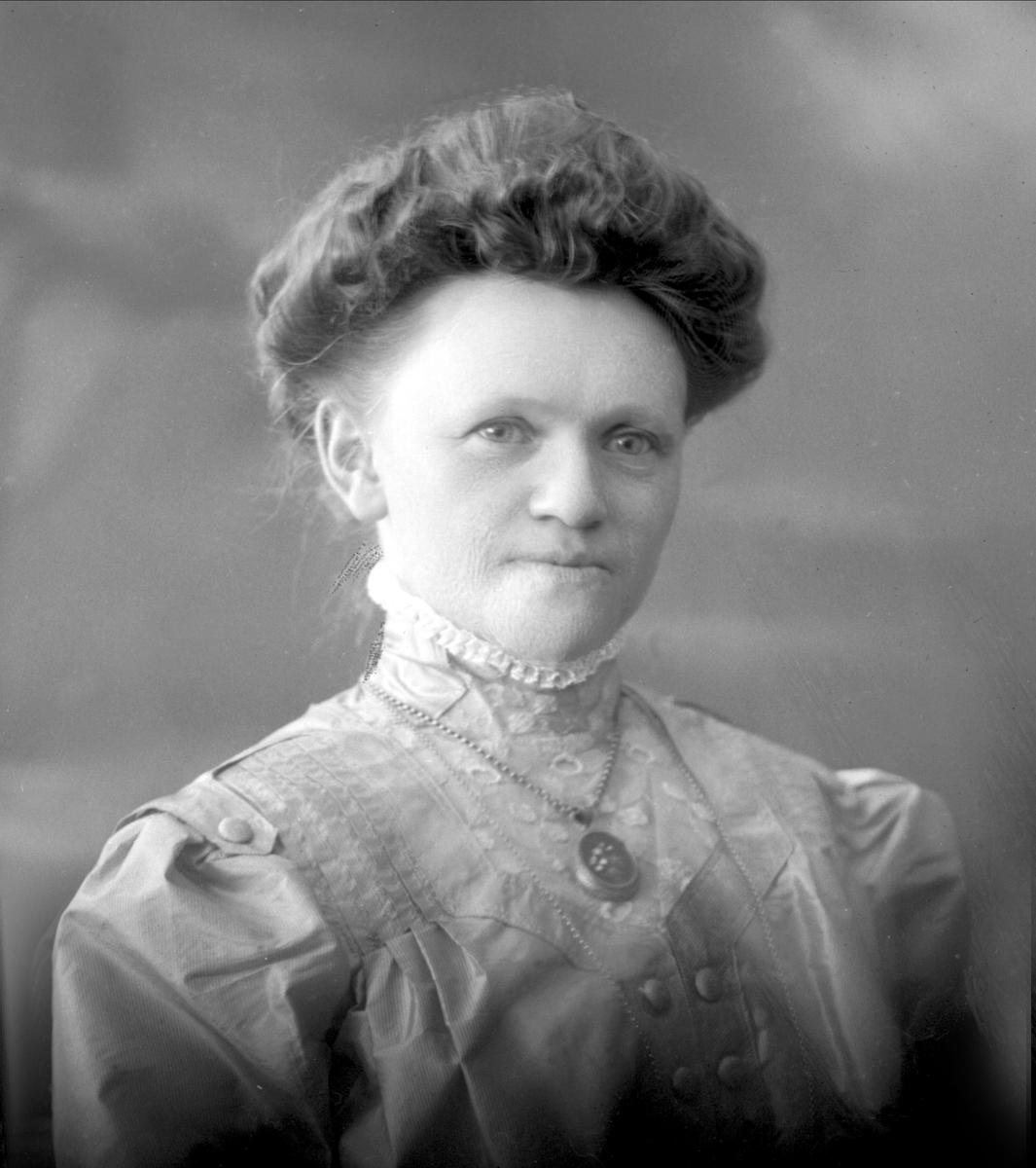 Gustav Borgen, NFB.28841