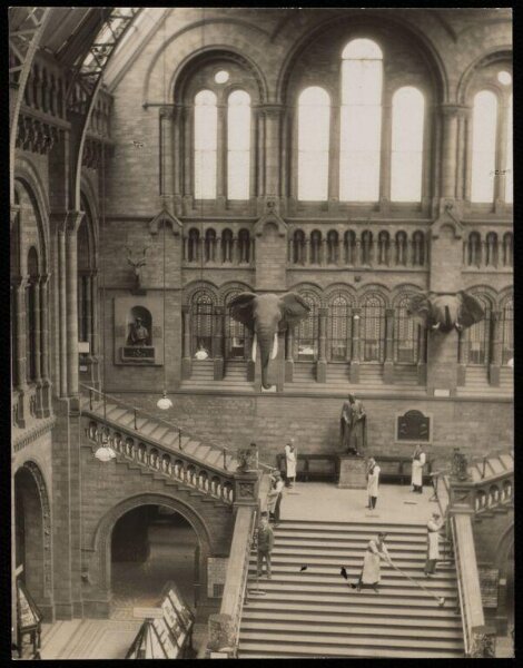 Hoppé, Emil Otto, Natural History Museum