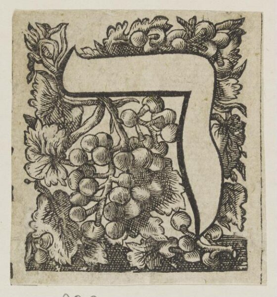 Unknown, Print