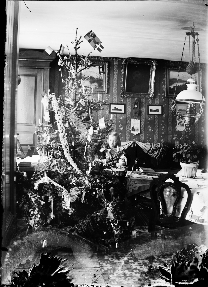 Skötsner-Edhlund, Sitting on the couch, Tyra Edhlund looks forward behind the Christmas tree, Guldskär, Östhammar, Uppland