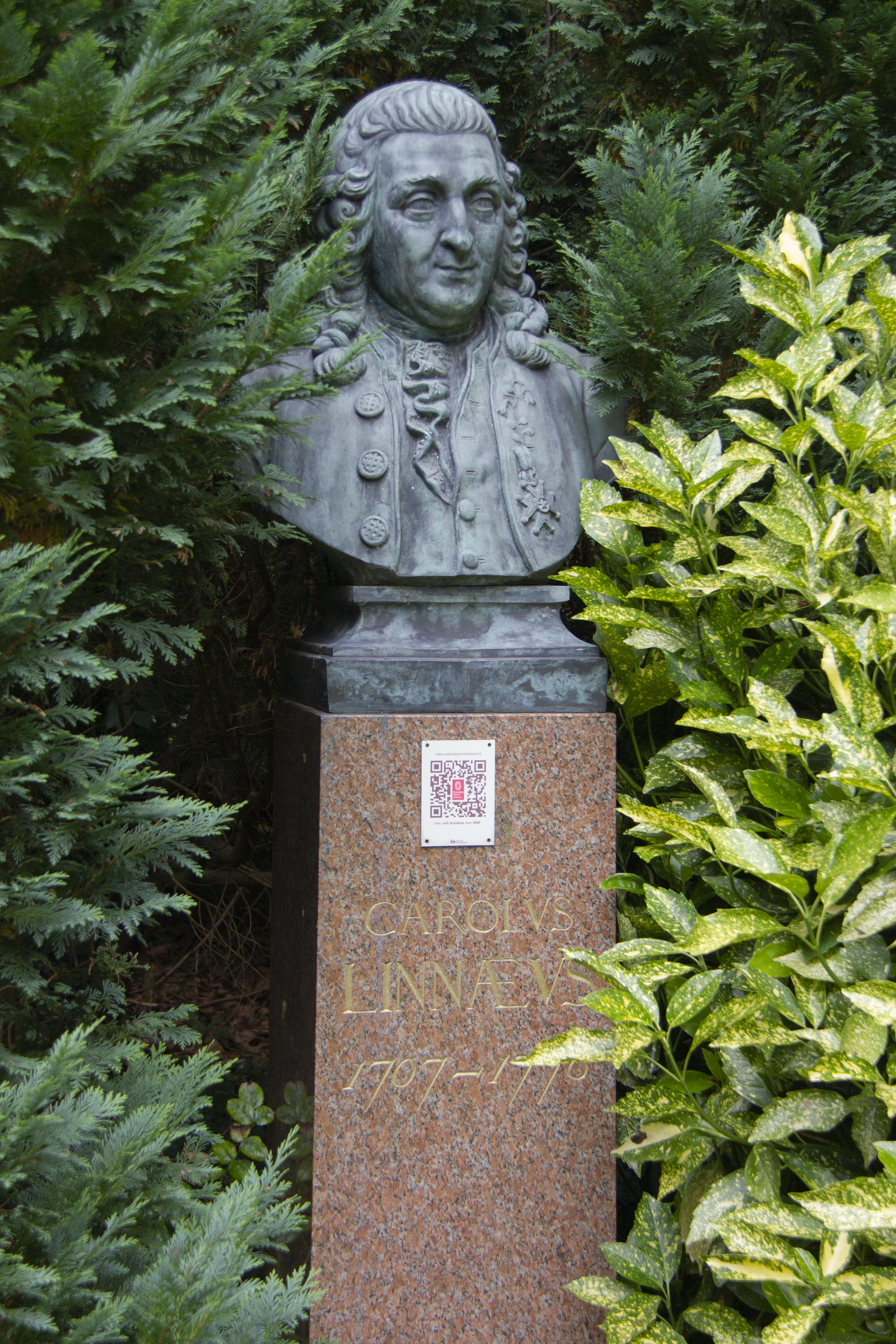 Leif Gren, Hartekamp i Heemstede