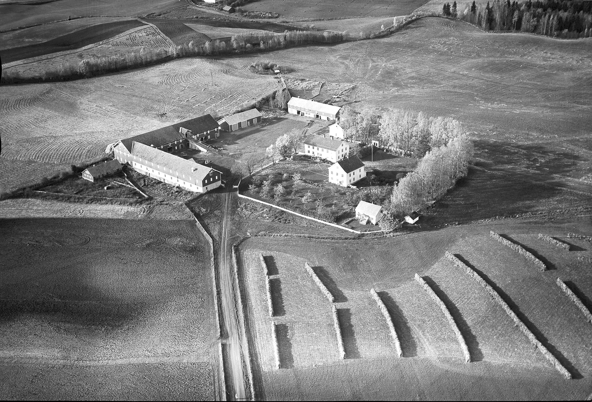 Widerøes Flyveselskap A/S, FLYFOTO HAFSAL