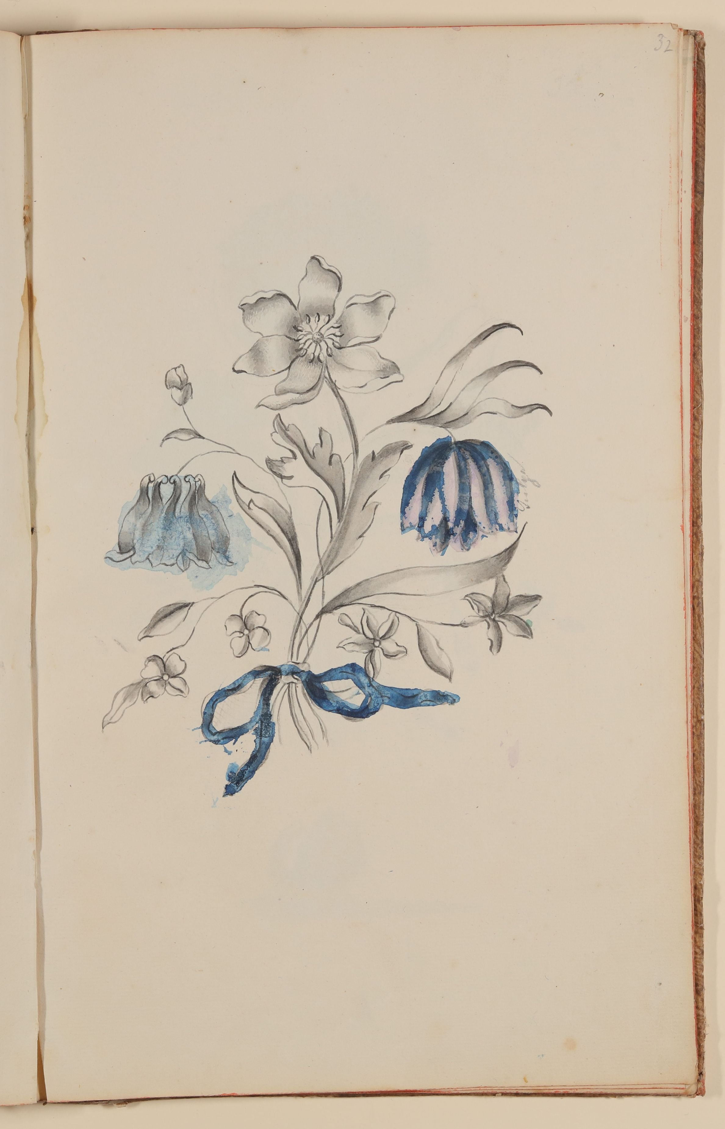 Marianne Franziska Seiffert von Klettenberg, Strauß mit Akelei und anderen Blumen [aus einem Skizzenbuch der Marianne Franziska Seiffert von Klettenberg]
