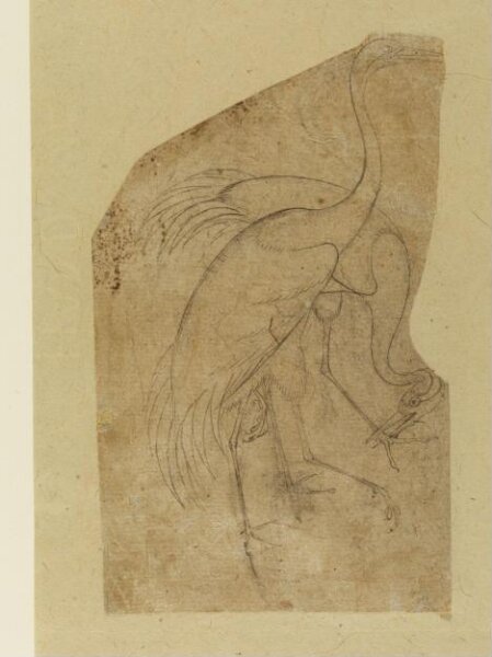 Unknown, Drawing